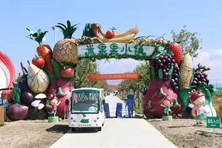 (农庄元素)探寻旅行中的元素农家小镇：挑战第四关的独特魅力与文化体验