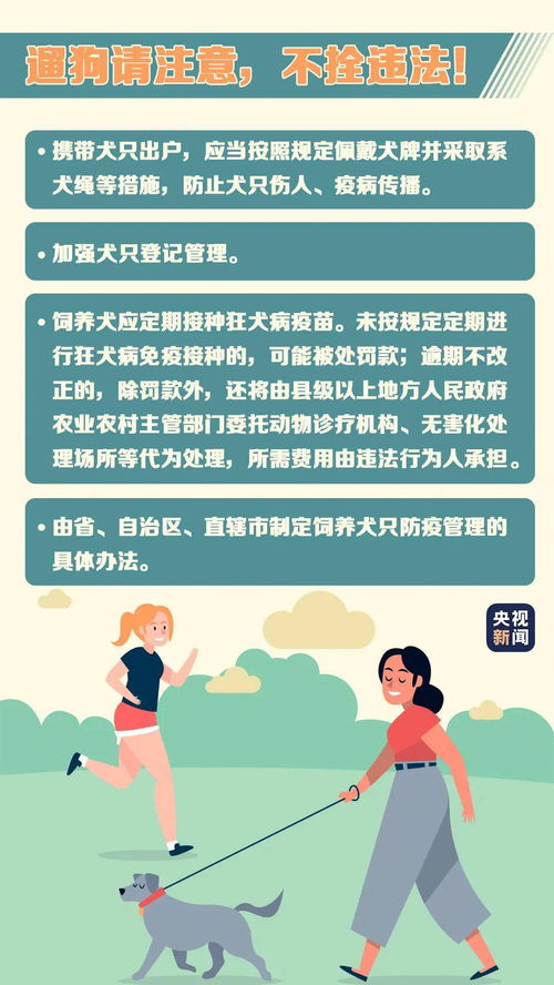 在文明岔口，值得推荐的阵容选择：持文明与理性并重，实现共赢共荣。