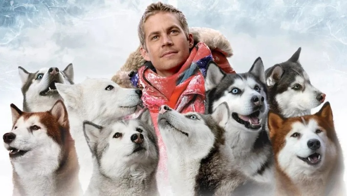 复仇狗联盟超清：雪犬、哈士奇、贵宾联手，打造全新超清复仇之路！