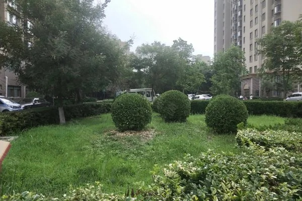 (盛世龙城房子怎么样)超值推荐：盛世龙城C区优质二手房出售，心仪家园等你来选购