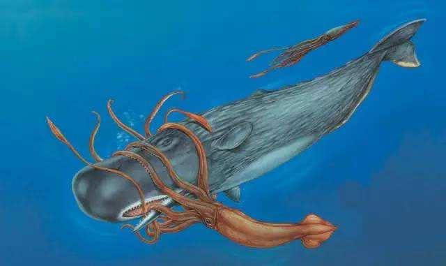 揭秘海怪大王乌贼的真相：揭秘神秘海底生物的真实身份和披露其惊人秘密
