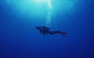 潜水日记400字大全：探秘海底世界，记录海底探险的点点滴滴，与大自然亲密接触。