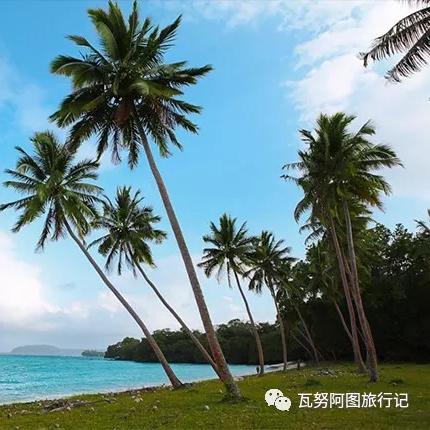 (森之国探险家)探寻森之国度：攻略指南、地图和绝密秘籍一网打尽