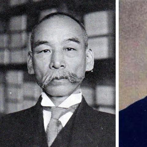 (森之国探险家)探寻森之国度：攻略指南、地图和绝密秘籍一网打尽