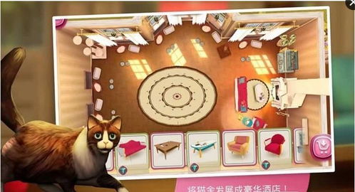 萌弟小筑全部解锁版：史上最可爱的猫咪乐园，全新玩法等你来探索！