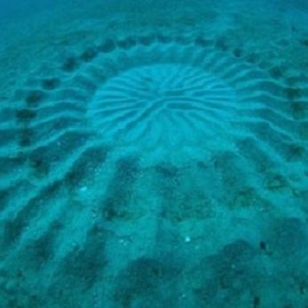(生存挑战游戏英雄组合)探索挑战与求生的极限：超越智慧与力量的英雄生存游戏