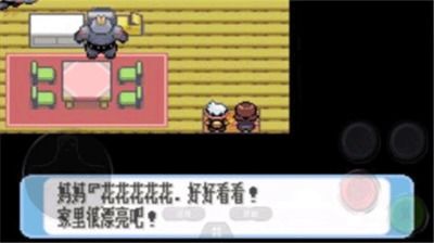 口袋妖怪红宝石攻略图：详细攻略，全图解，帮你轻松捕捉每一只精灵！