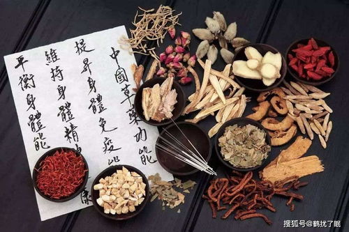 (中药铺子(马狮店)怎么样)探索中药铺子苹果版：传统中医药的数字化转型与用户体验提升
