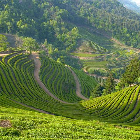 (电脑桌面壁纸 唯美 风景)令人陶醉的电脑桌面壁纸风景，唯美大片让你感受大自然的魅力