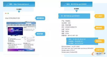 2024澳门精准正版免费|解析关键问题的重要性与实施策略_精简版.9.954